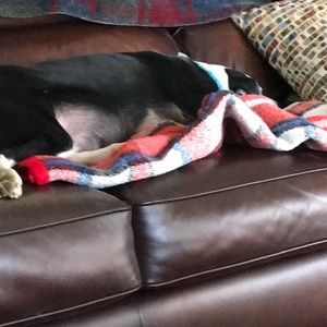 Meet your Posher, Connie